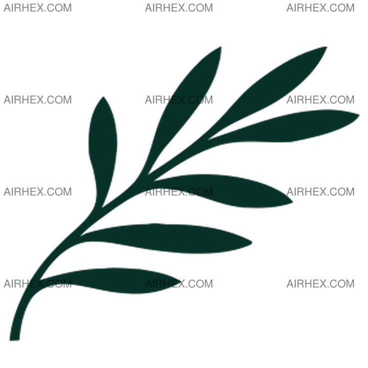 an olive branch with green leaves is shown in black and white, on a white background