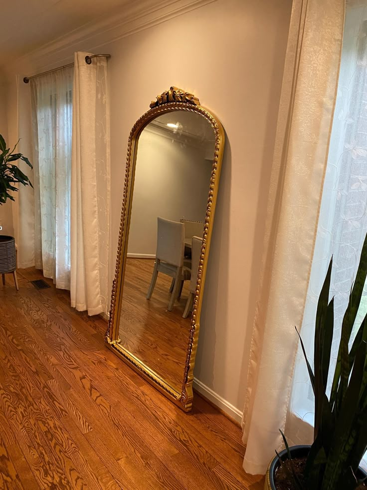 a large mirror sitting on top of a wooden floor next to a potted plant