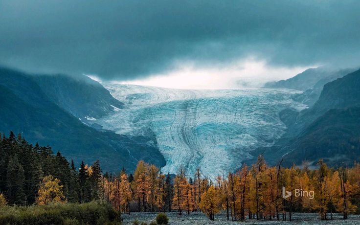 a large glacier in the middle of mountains with trees around it and snow on the ground