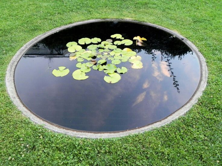 a pond with lily pads in the grass