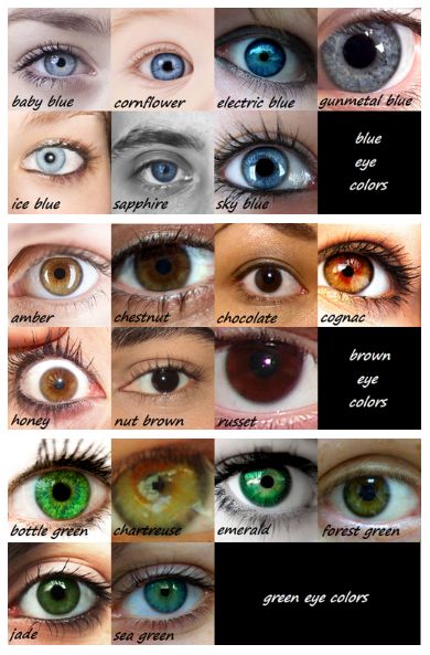 Pin by Sarah Ransom on Beauty secrets | Eye color chart, Blue eye color ...