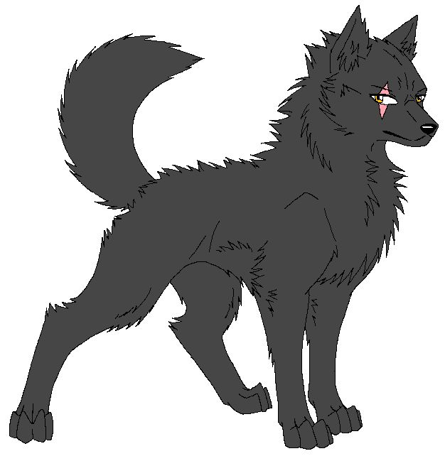 older kovu the shadow wolf by blackfire1999 on deviantART | King ...