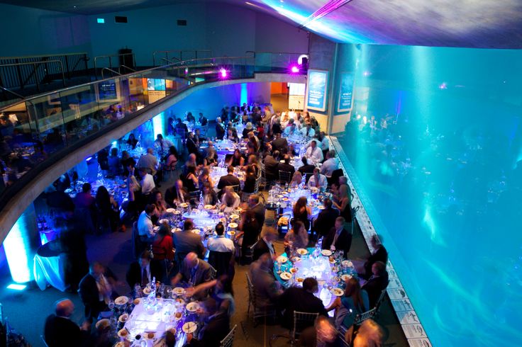 a large group of people sitting at tables in front of a wall with an aquarium