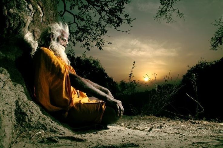 an old man sitting under a tree with the sun setting in the distance behind him