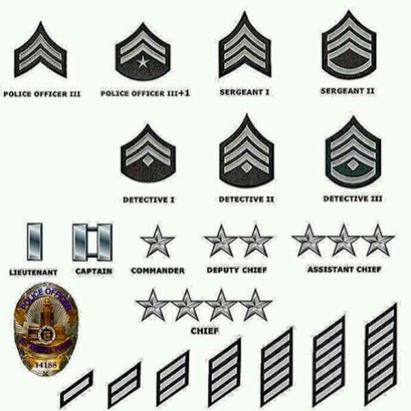 LAPD ranks and years of service Police Rank, Fallen Officer, Fire Badge, Army Ranks, Military Ranks, Police Life, Los Angeles Police Department, Police Academy, Police Uniforms