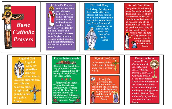 Basic Catholic Prayers Booklet | Catholic prayers, Catholic, Booklet