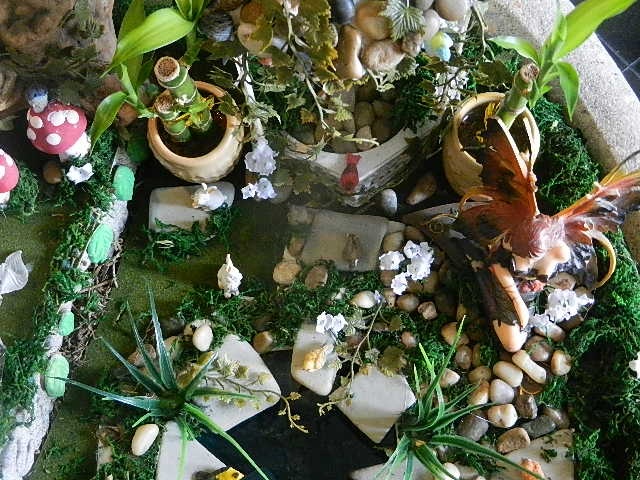 an assortment of plants and rocks in a bowl