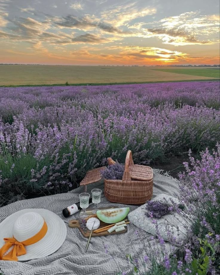 lavender field with picnic basket and wine glass on blanket at sunset in rural area near watermelon