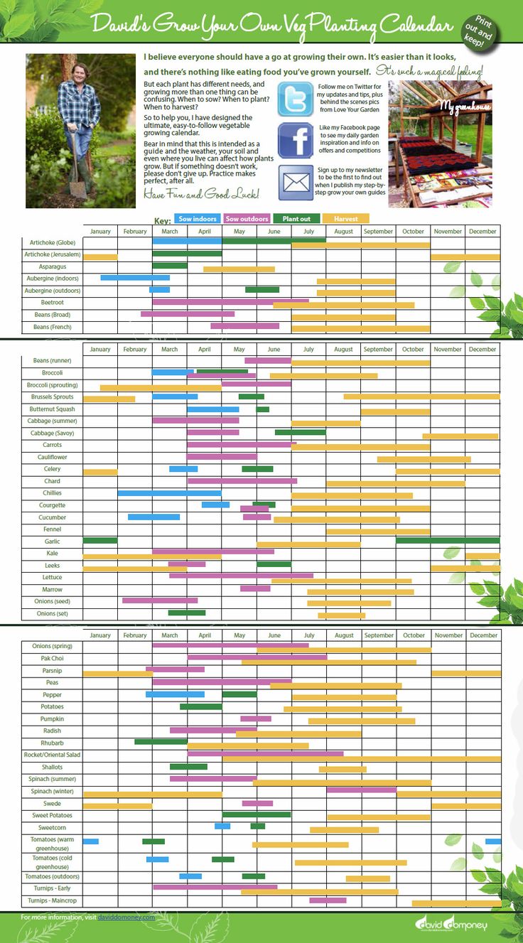 a poster showing the different types of trees and shrubs in an area that is well maintained