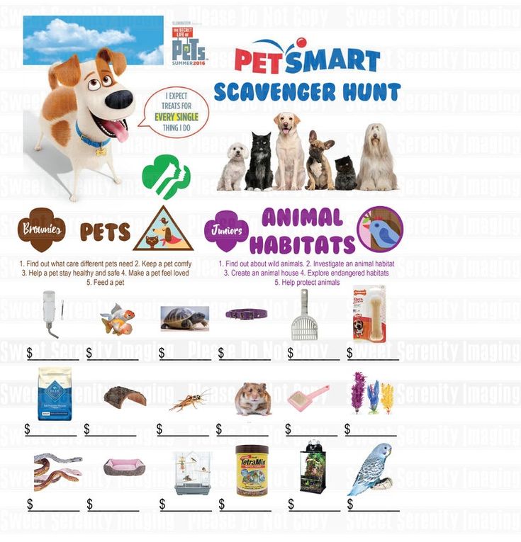 a poster with pictures of dogs and cats on it's side, including an animal habitat