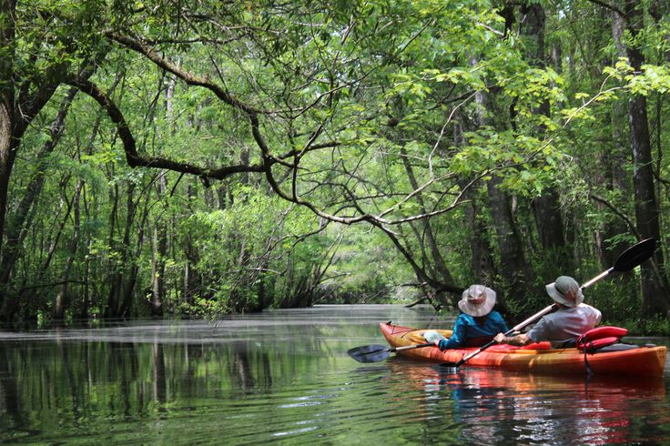 two people are paddling down the river in kayaks