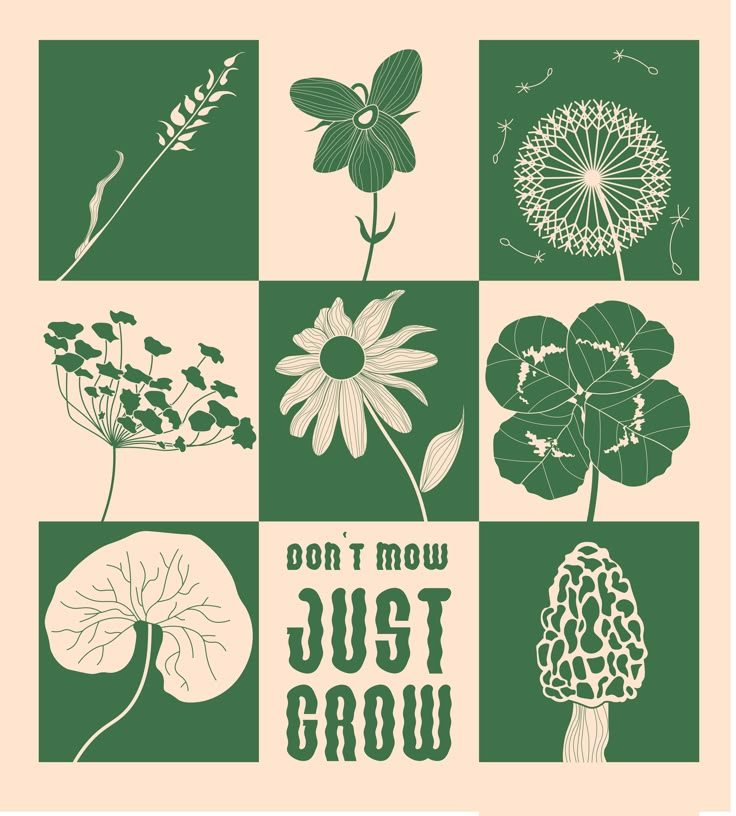 a poster with different types of flowers and plants on it's sides, including the words don't mow just grow