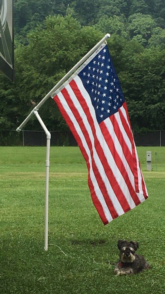 a small dog laying in the grass next to an american flag on a pole near a basketball hoop