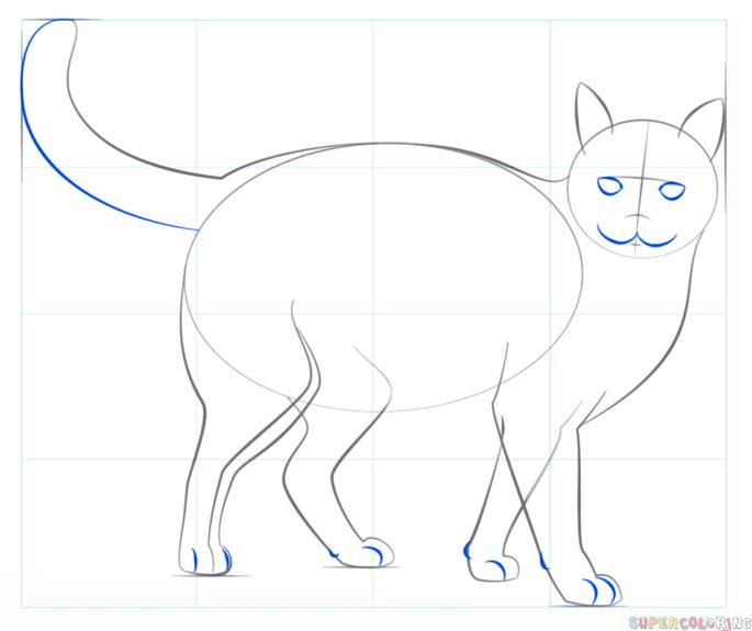 How to draw a Realistic Cat | Step by step Drawing tutorials | Drawing ...