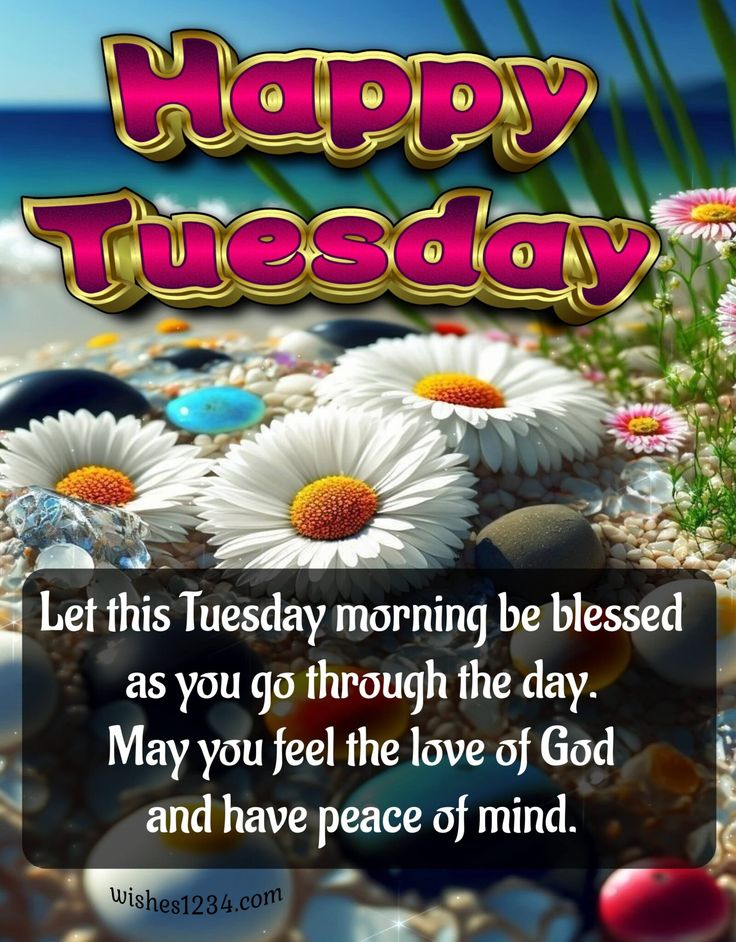 happy tuesday message with daisies on the beach