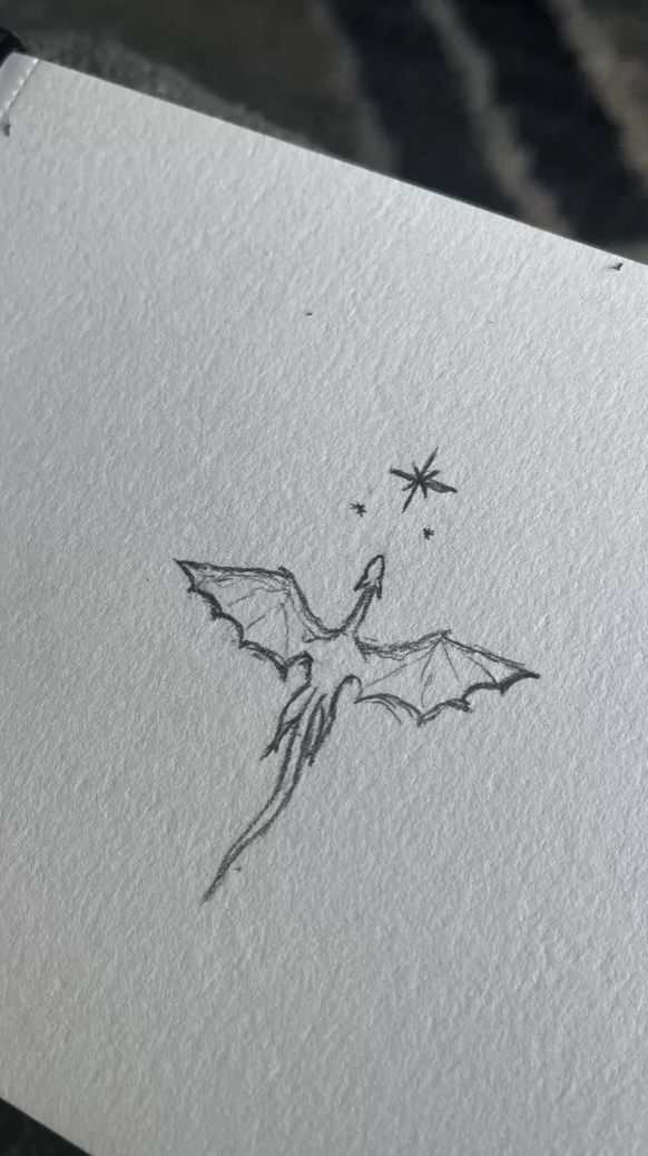 a drawing of a bat flying in the sky with stars on it's back