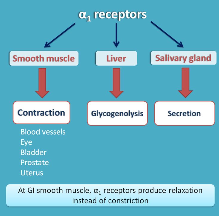 the diagram shows how to use glycogenals