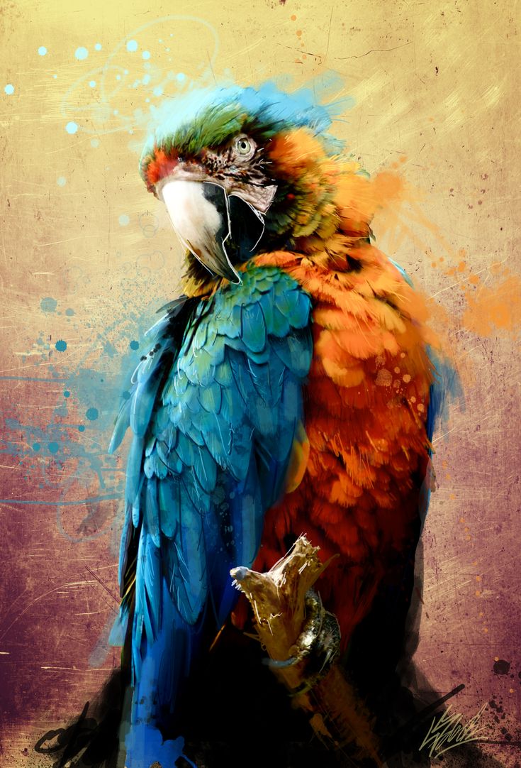 a painting of a colorful parrot sitting on top of a tree branch in front of a brown background