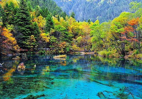 the water is crystal blue and green in this beautiful forest scene, with mountains in the background