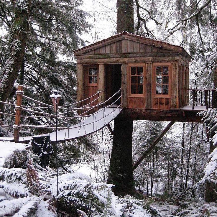 a tree house in the woods with a rope bridge on it's side and snow covered ground