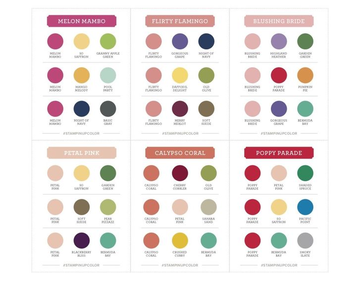 the color guide for different types of paint