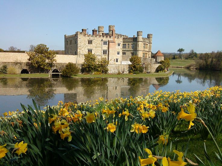 yellow flowers in front of a castle with water and trees around the perimeter, on a sunny day