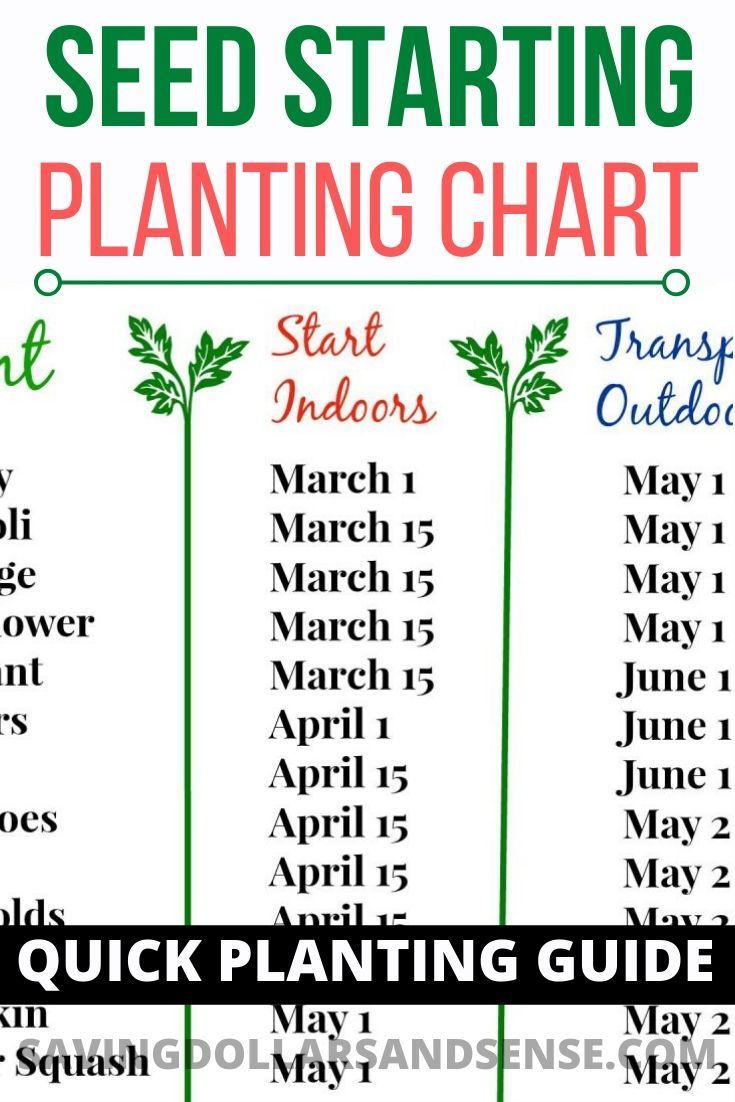 Printable Seed Starting Chart