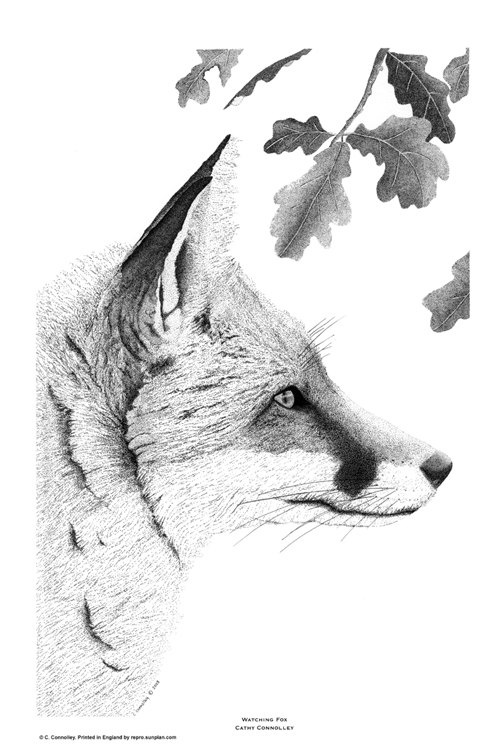 a black and white drawing of a fox