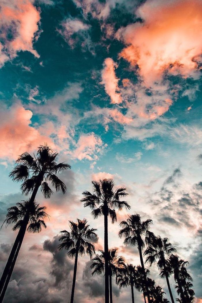 the sky is filled with clouds and palm trees