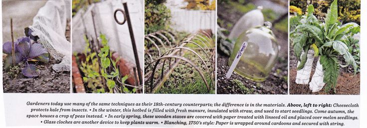 an article about gardening in the garden with pictures of plants and scissors on it's side