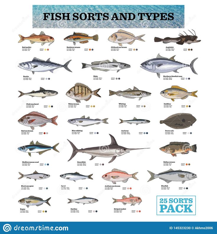 an image of fish and types poster