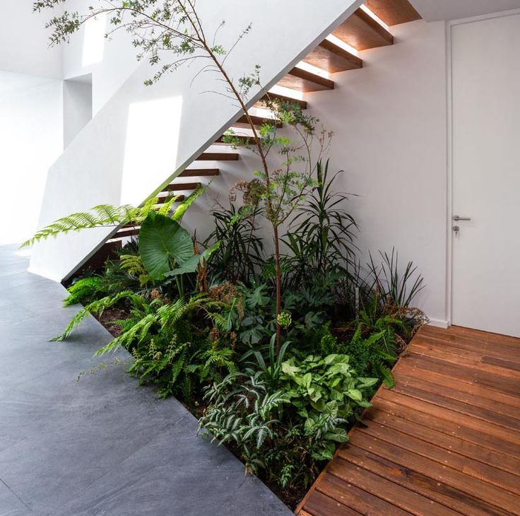 an indoor stair case with lots of plants and trees on the bottom, next to a wooden floor