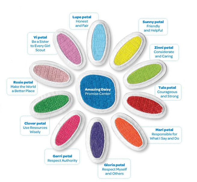 an image of different colored toothbrushes arranged in the shape of a flower on a white background