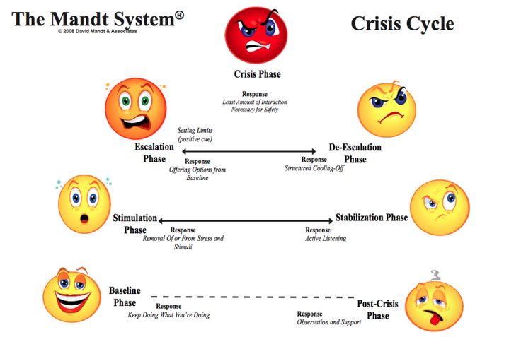 a diagram with different types of emoticions on it and the words, the mandi system