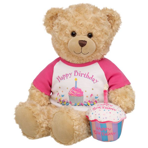 a teddy bear wearing a birthday shirt with a cupcake on it's lap