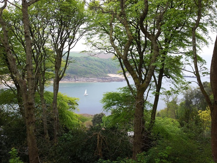 a sailboat is in the water through some trees