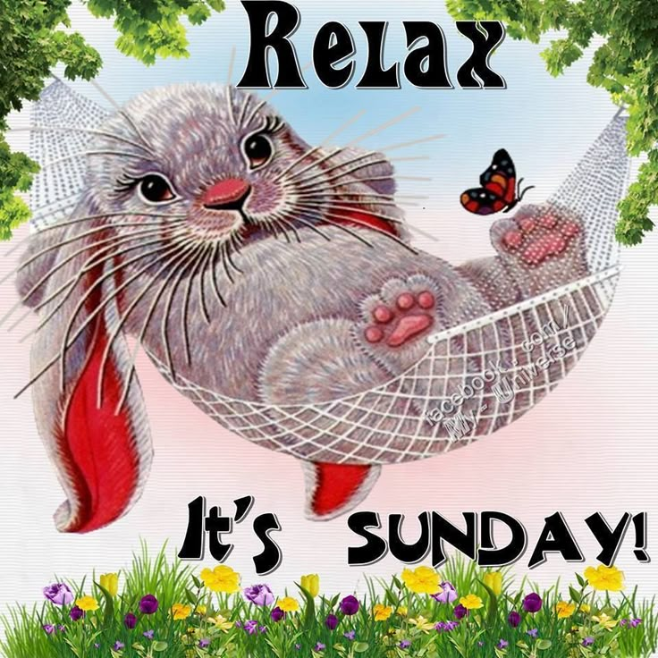 an animal is sitting in a hammock with the words relax it's sunday