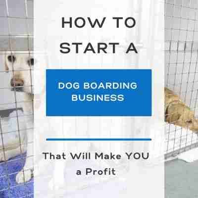 two dogs in cages with the words how to start a dog boarding business that will make you a profit