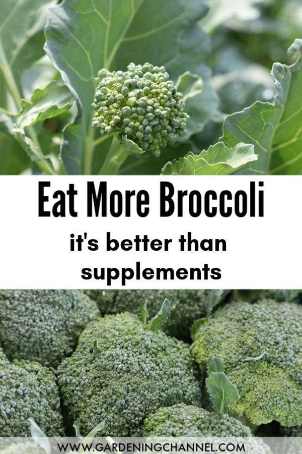 foods to eat for prostate health Health Benefits Of Broccoli, Broccoli Health Benefits, Broccoli Benefits, Urinary Health, Refreshing Food, Natural Drinks, Organic Garden, Health Drink, Healthy Eating Tips