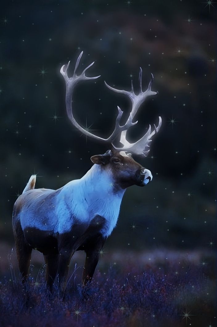 a deer with antlers standing in the grass at night time, surrounded by stars