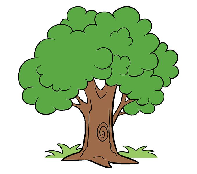 a cartoon tree with green leaves and brown trunk