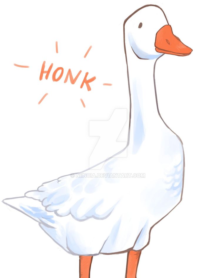 a drawing of a duck with the words honk on it