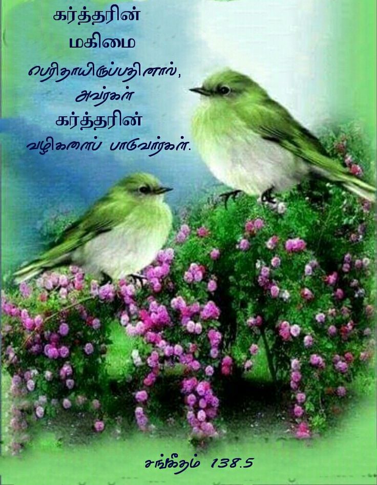 two birds sitting on top of flowers with the words friday blessings have a great weekend