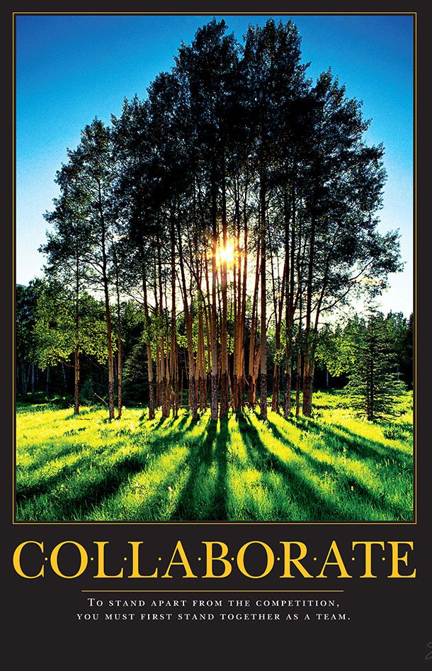 a poster with the words collaborate in front of trees and sunbeams