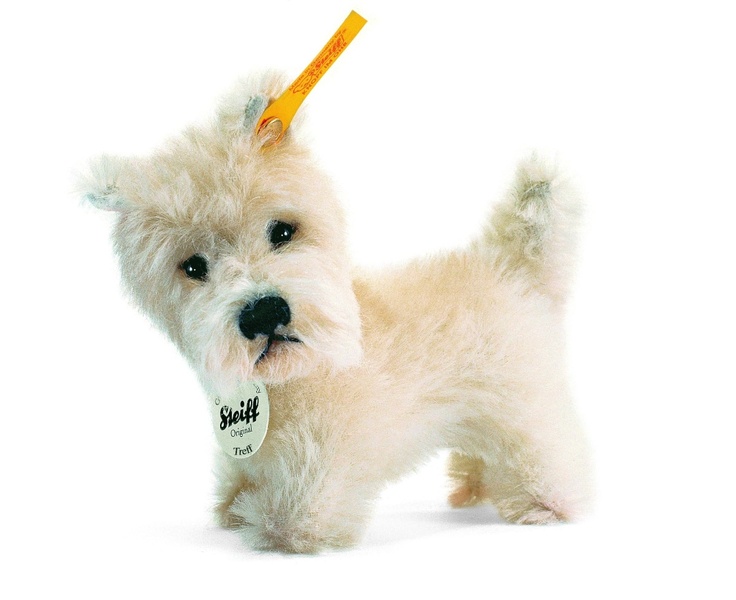 a small white dog with a yellow toothbrush in its mouth