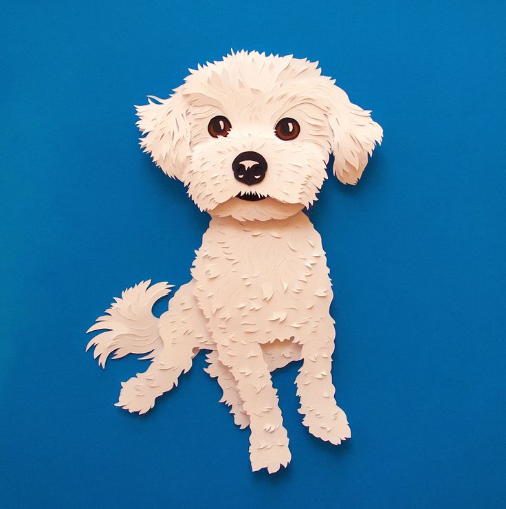 a paper cut out of a dog sitting on a blue surface with its eyes wide open