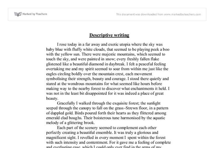 a page from the book descriptive writing