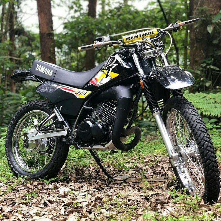 a black and yellow motorcycle parked on top of a leaf covered ground in the woods