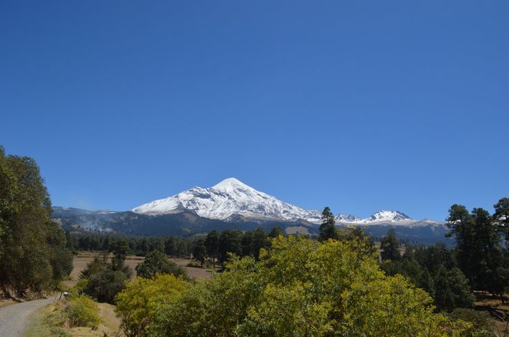 a view of a snow - capped mountain in the distance with trees and bushes around it