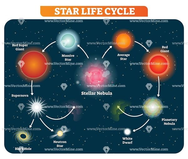 the star life cycle is shown in this graphic above it's image, and below it